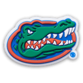 Crocs|University of Florida Jibbitz™ charms