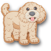Crocs|b'Golden Doodle Puppy Jibbitz Shoe Charm'