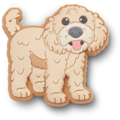 Crocs|b'Golden Doodle Puppy Jibbitz Shoe Charm'