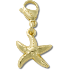 Crocs|Gold Starfish Charm Jibbitz charm