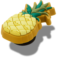 Crocs|Perfect Pineapple Jibbitz™ charms