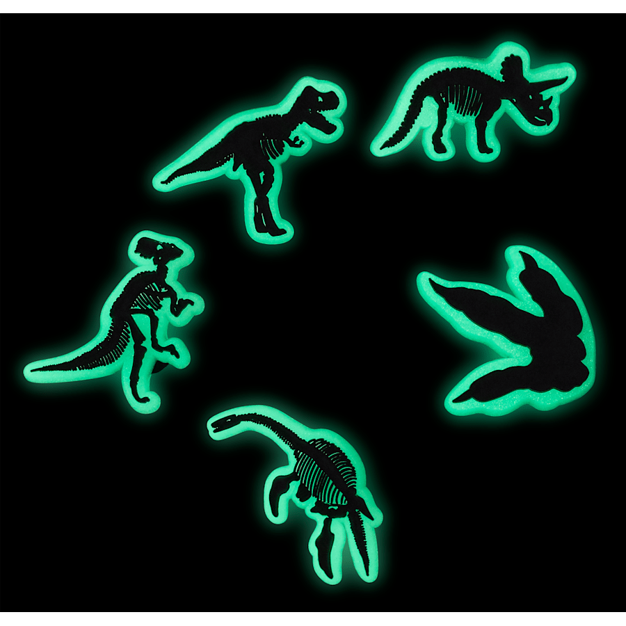 Crocs|Glow In The Dark Dino 5 Pack Jibbitz Shoe Charm