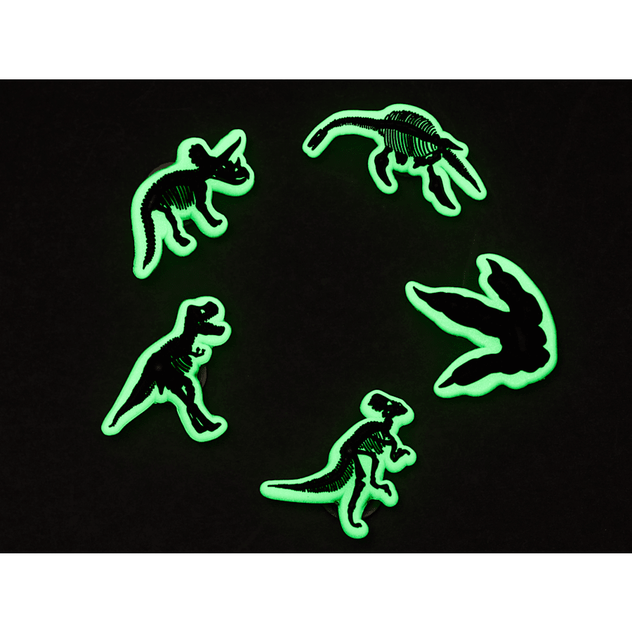 Crocs|Glow In The Dark Dino 5 Pack Jibbitz Shoe Charm