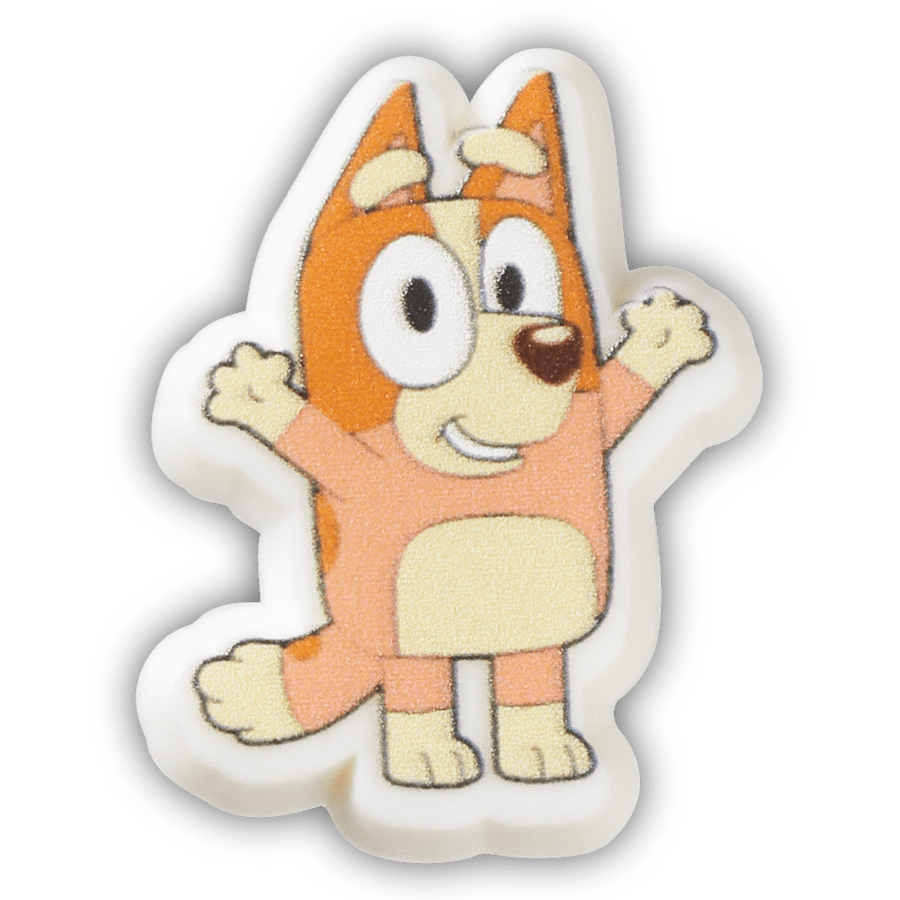Crocs|Bingo Jibbitz™ charms