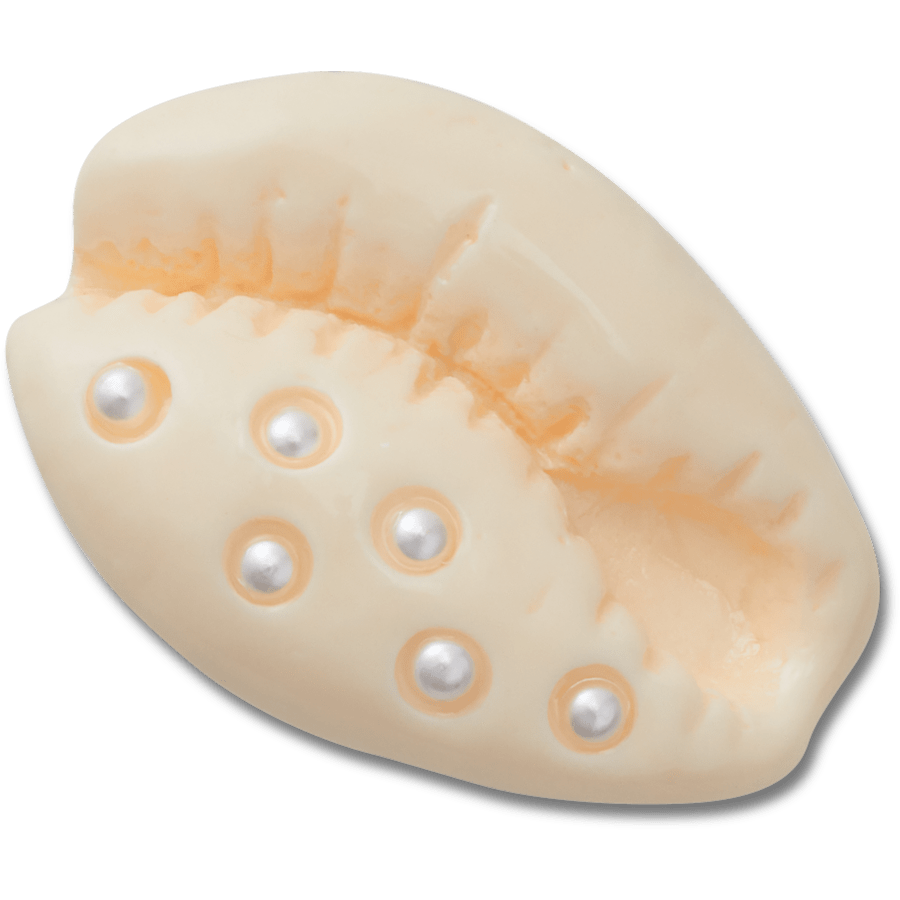 Crocs|Pearl Puka Shell Jibbitz™ charms