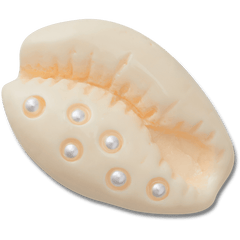 Crocs|Pearl Puka Shell Jibbitz™ charms