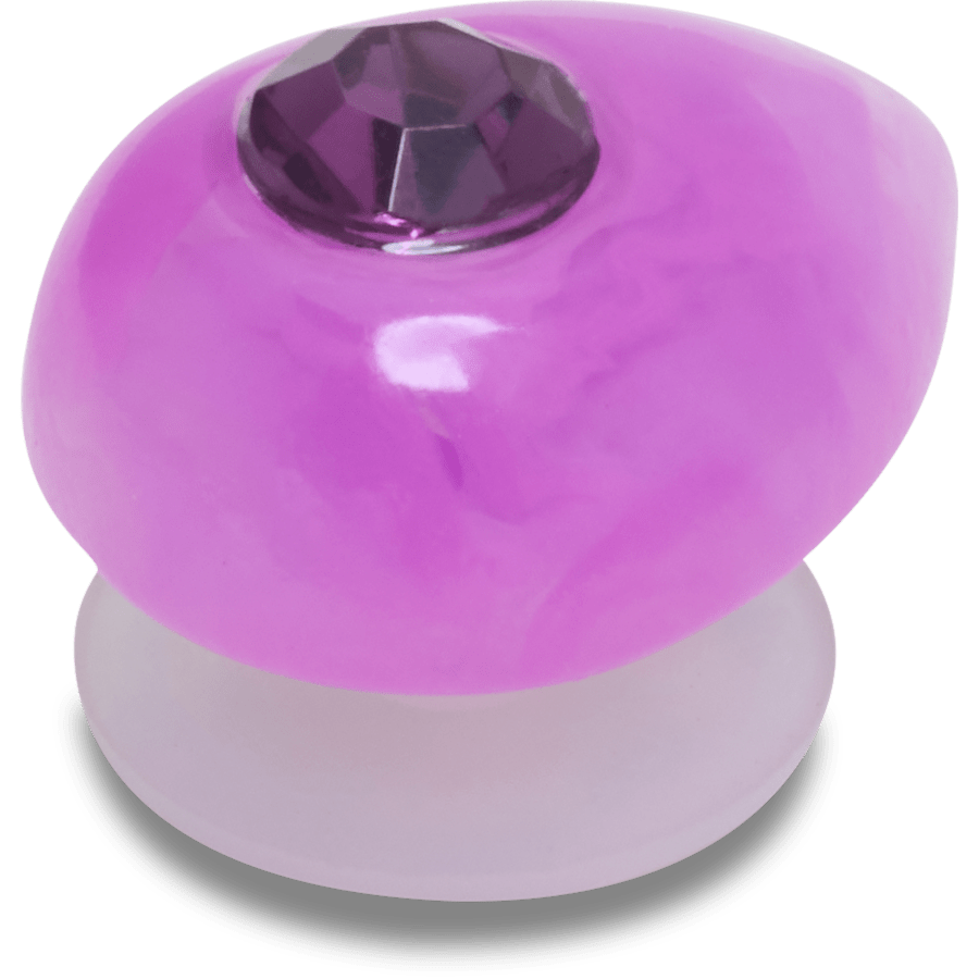 Crocs|Amethyst February Birthstone Collection Jibbitz™ charms