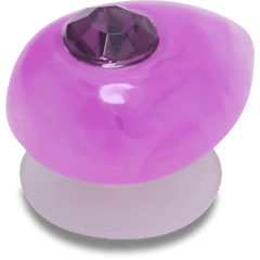 Crocs|Amethyst February Birthstone Collection Jibbitz™ charms
