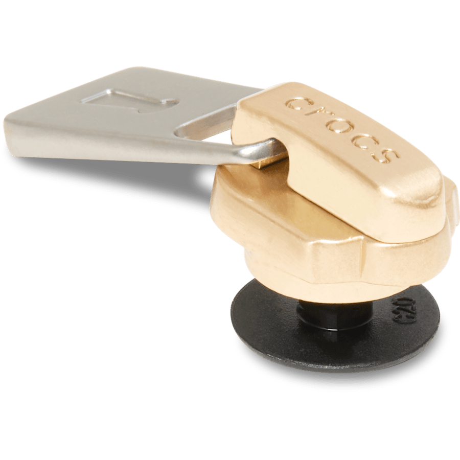 Crocs|Gold and Silver Zipper Jibbitz™ charms