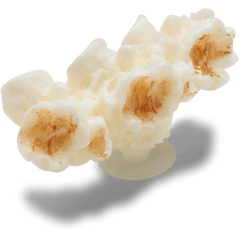 Crocs|Realistic Popcorn 2 Jibbitz™ charms