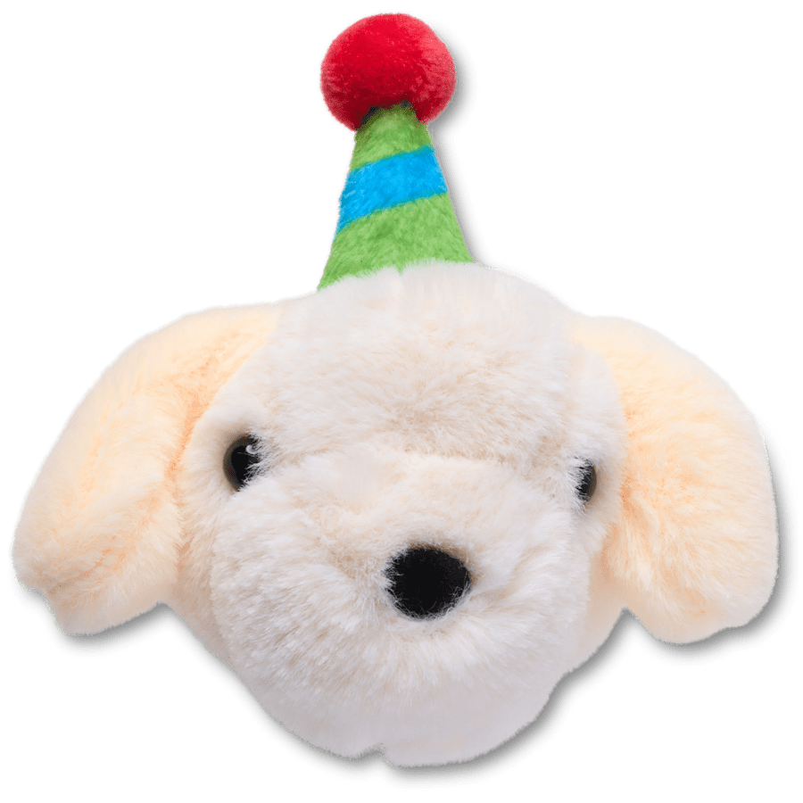 Crocs|Record Your Own Sound Birthday Jibbitz™ charms