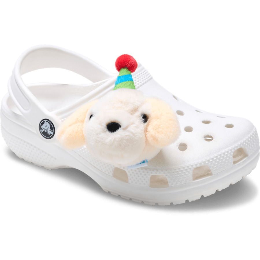 Crocs|Record Your Own Sound Birthday Jibbitz™ charms